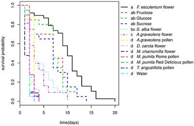 A Floral Diet Increases the Longevity of the Coccinellid Adalia bipunctata but Does Not Allow Molting or Reproduction